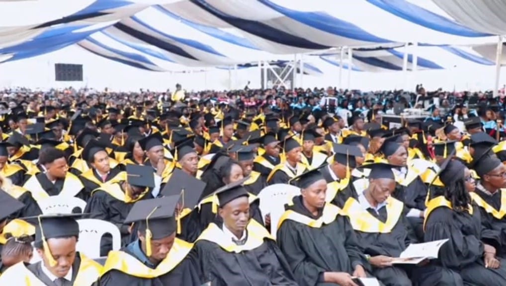 Customization at Its Best