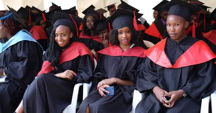 Gowns for Every Academic Level